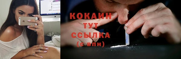 ГАЛЛЮЦИНОГЕННЫЕ ГРИБЫ Новодвинск