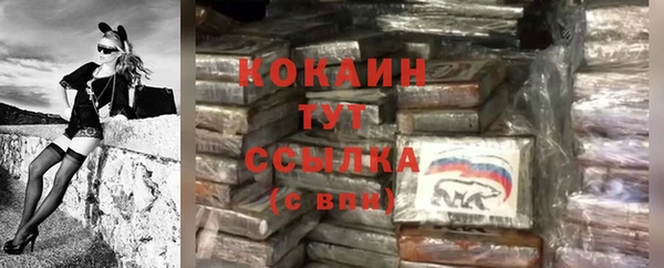 ГАЛЛЮЦИНОГЕННЫЕ ГРИБЫ Новодвинск
