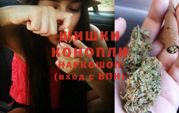 ГАЛЛЮЦИНОГЕННЫЕ ГРИБЫ Новодвинск