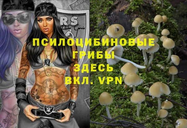 а пвп мука Нея
