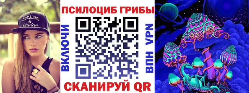 Псилоцибиновые грибы Psilocybe  Пыталово 